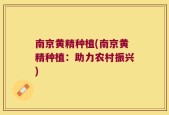 南京黄精种植(南京黄精种植：助力农村振兴)