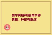 南宁黄精种苗(南宁种黄精，种苗有重点)