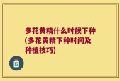 多花黄精什么时候下种(多花黄精下种时间及种植技巧)