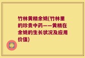 竹林黄精余姚(竹林里的珍贵中药——黄精在余姚的生长状况及应用价值)