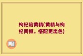枸杞陪黄精(黄精与枸杞同框，搭配更出色)