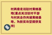 村两委走访驻村黄精基地(重点关注驻村干部与村民合作共建黄精基地，为脱贫攻坚提供支持)