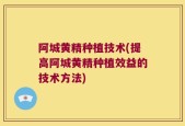 阿城黄精种植技术(提高阿城黄精种植效益的技术方法)