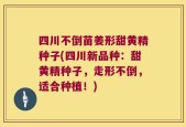 四川不倒苗姜形甜黄精种子(四川新品种：甜黄精种子，走形不倒，适合种植！)