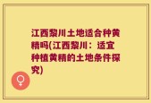江西黎川土地适合种黄精吗(江西黎川：适宜种植黄精的土地条件探究)