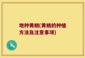 地种黄精(黄精的种植方法及注意事项)