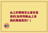 山上的黄精怎么鉴定是真的(如何判断山上采摘的黄精真伪？)