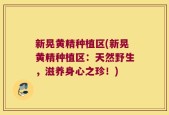 新晃黄精种植区(新晃黄精种植区：天然野生，滋养身心之珍！)