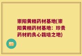 崇阳黄精药材基地(崇阳黄精药材基地：珍贵药材的良心栽培之地)