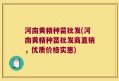 河南黄精种苗批发(河南黄精种苗批发商直销，优质价格实惠)