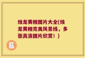 烛龙黄精图片大全(烛龙黄精完美风景线，多张高清图片欣赏！)