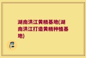 湖南洪江黄精基地(湖南洪江打造黄精种植基地)