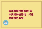 咸丰黄精种植基地(咸丰黄精种植基地：打造品质特色农业)