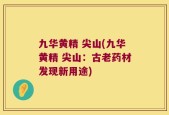 九华黄精 尖山(九华黄精 尖山：古老药材发现新用途)