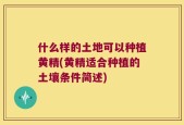 什么样的土地可以种植黄精(黄精适合种植的土壤条件简述)