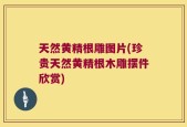 天然黄精根雕图片(珍贵天然黄精根木雕摆件欣赏)