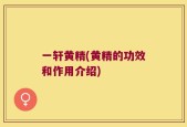 一轩黄精(黄精的功效和作用介绍)