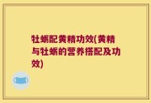牡蛎配黄精功效(黄精与牡蛎的营养搭配及功效)