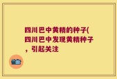 四川巴中黄精的种子(四川巴中发现黄精种子，引起关注