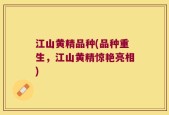 江山黄精品种(品种重生，江山黄精惊艳亮相)