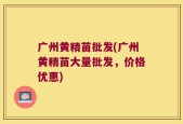 广州黄精苗批发(广州黄精苗大量批发，价格优惠)