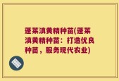 蓬莱滇黄精种苗(蓬莱滇黄精种苗：打造优良种苗，服务现代农业)