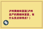 泸州黄精块茎苗(泸州出产的黄精块茎苗，有什么优点和特点？)