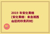 2019 年安化黄精(安化黄精：来自湘西山区的珍贵药材)