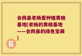 会同县老杨爱种植黄精基地(老杨的黄精基地——会同县的绿色宝藏)