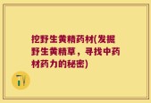 挖野生黄精药材(发掘野生黄精草，寻找中药材药力的秘密)