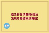 临沧野生滇黄精(临沧发现珍稀植物滇黄精)