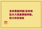 吉林黄精种植(吉林地区大力发展黄精种植，助力农民增收