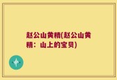 赵公山黄精(赵公山黄精：山上的宝贝)