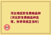 河北地区野生黄精品种(河北野生黄精品种出现，秋季采摘正当时)