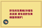 野生的生黄精(珍惜生态资源 原生态野生黄精值得保护)