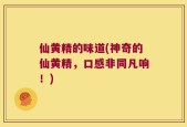 仙黄精的味道(神奇的仙黄精，口感非同凡响！)