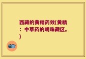 西藏的黄精药效(黄精：中草药的明珠藏区。)