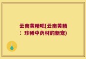 云南黄精吧(云南黄精：珍稀中药材的新宠)