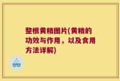 整根黄精图片(黄精的功效与作用，以及食用方法详解)