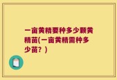 一亩黄精要种多少颗黄精苗(一亩黄精需种多少苗？)
