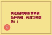 挑选新鲜黄精(黄精新品种亮相，药用功效翻倍！)