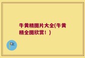 牛黄精图片大全(牛黄精全图欣赏！)