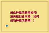 创业种植滇黄精如何(滇黄精创业攻略：如何成功种植滇黄精！)