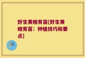 野生黄精育苗(野生黄精育苗：种植技巧和要点)