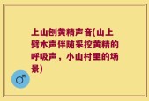 上山刨黄精声音(山上劈木声伴随采挖黄精的呼吸声，小山村里的场景)