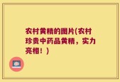 农村黄精的图片(农村珍贵中药品黄精，实力亮相！)