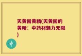 天黄园黄精(天黄园的黄精：中药材魅力无限)