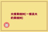 大棵黄精树(一棵高大的黄精树)