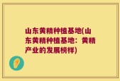 山东黄精种植基地(山东黄精种植基地：黄精产业的发展榜样)