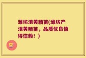 潍坊滇黄精苗(潍坊产滇黄精苗，品质优良值得信赖！)